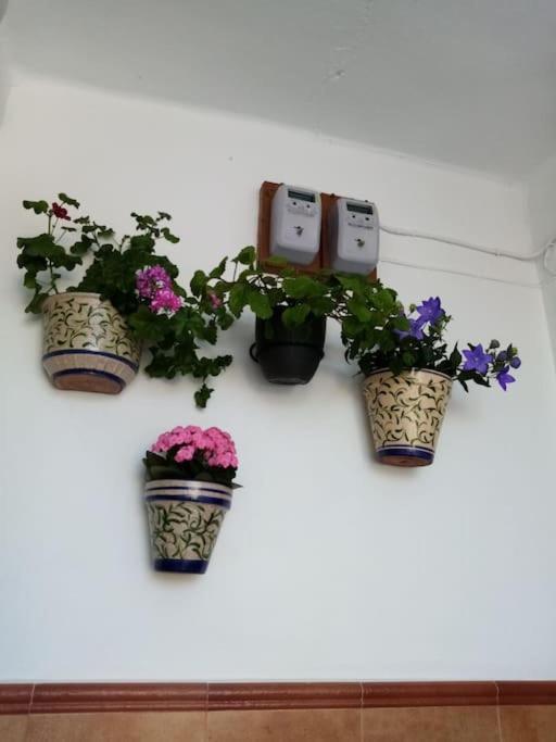 Willa La Casita Cortes de la Frontera Zewnętrze zdjęcie